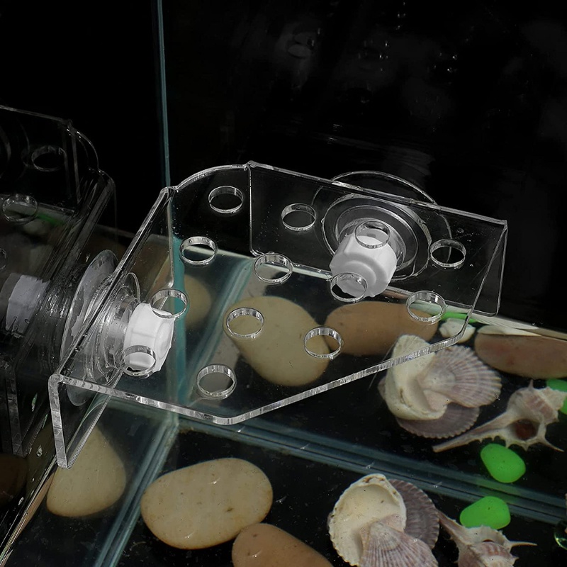 Giá Đỡ Bể Cá Bằng Acrylic San Hô Có Nút Hít 13 Phích Cắm