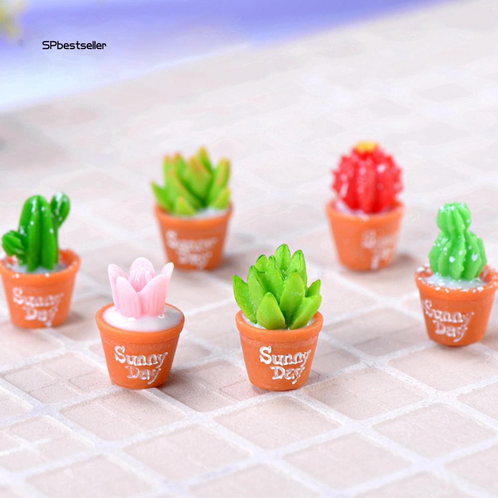 Set 2 mô hình cây xương rồng mini bằng nhựa dùng để trang trí tiểu cảnh