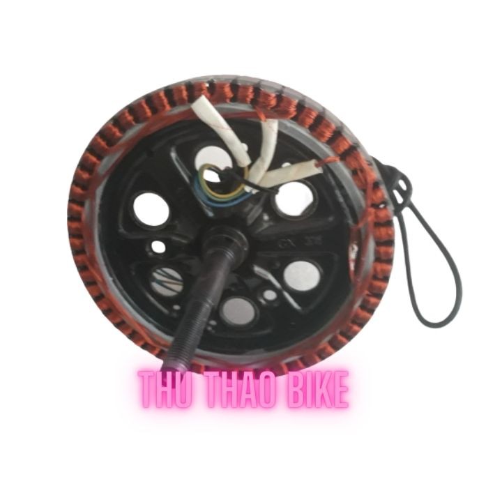 SHOP XE ĐẠP ĐIỆN THẢO TÍN_ Lõi động cơ xe đạp điện 350W bi 6202 và 6202 Cam kết uy tín