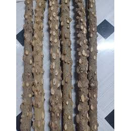 Cầu Gạo Thẳng Cho Các Loại Chim Chào Mào, Chích Chòe, Họa Mi, Khướu, Cầu Gạo Cho Chim Đậu Cao Cấp