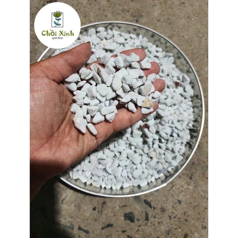 1KG ĐÁ PERLITE Đá Trân Châu SIZE 6-12MM
