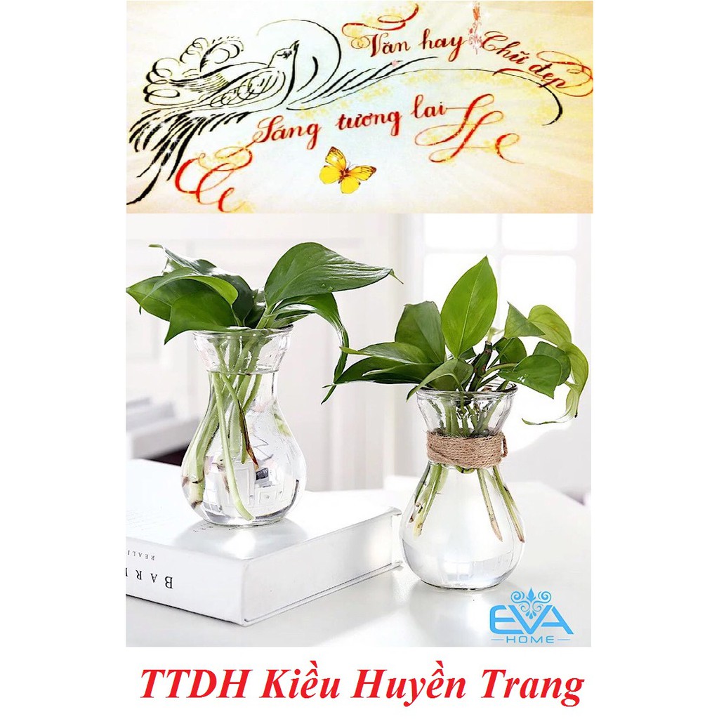 Bình Bông Lọ Hoa Thủy Tinh Miệng Loe