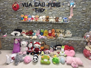 Set teddy + combo gấu xinh yêu