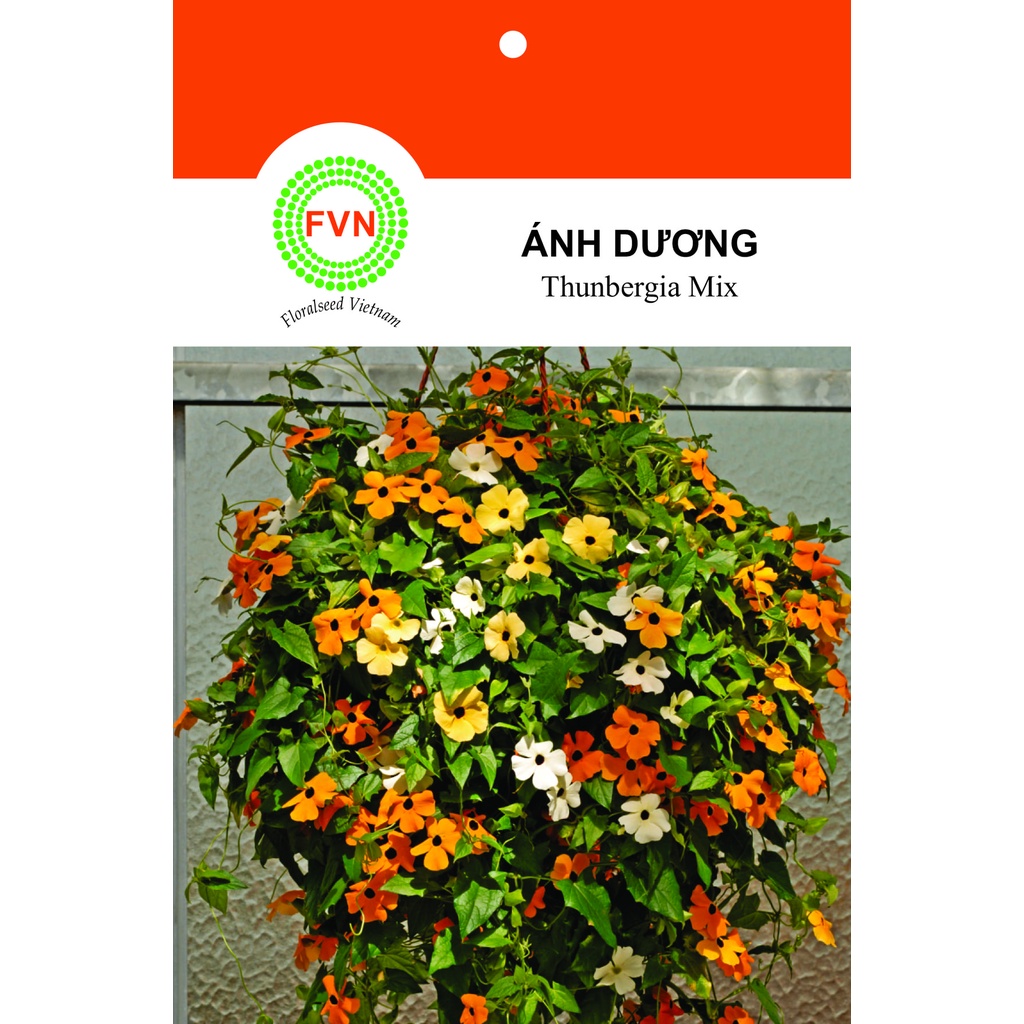 HẠT GIỐNG HOA ÁNH DƯƠNG FVN GÓI 5 HẠT - THUNBERGIA MIX