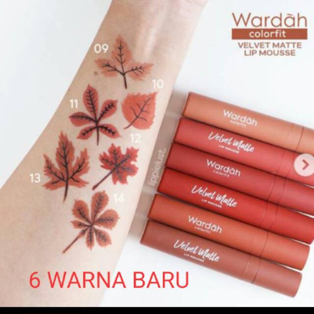 (hàng Mới Về) Set 4 Son Lì Wardah Colorfit Màu Sắc Thời Trang 9.10.11.12.13.14 | BigBuy360 - bigbuy360.vn