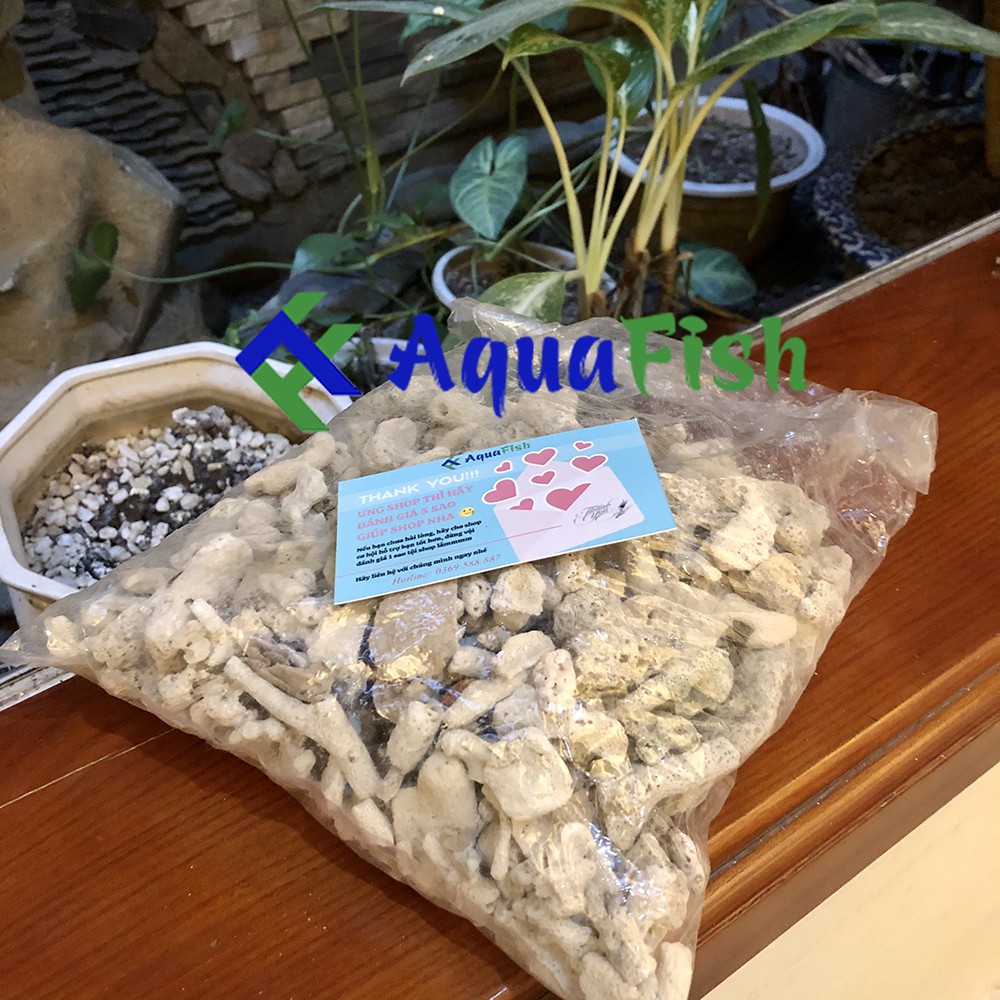 San Hô Vụn 1kg Dùng Cho Lọc Nước Bể Cá, Hồ Cá Koi