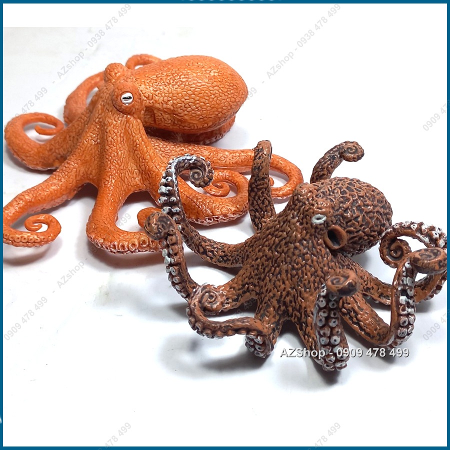 Mô Hình Bạch Tuộc Gai Sống Động  - 7703.6