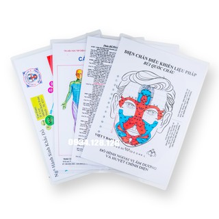 Bộ hình A4 – Phản chiếu & huyệt tương ứng – Ứng dụng hiệu quả