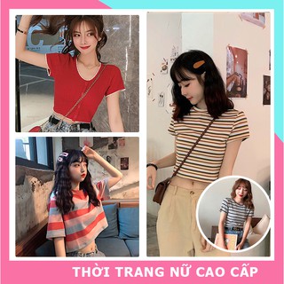 Áo croptop nữ áo kiểu rất xinh , áo croptop body kiểu dáng hàn quốc xinh xắn