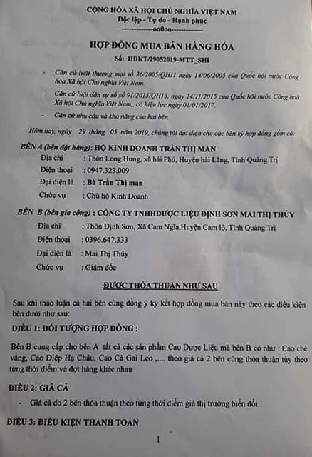 Cao chè vằng Quảng Trị | BigBuy360 - bigbuy360.vn