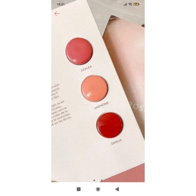 Bộ son + má hồng cao cấp siêu đẹp Rore inc Sample 3 gr