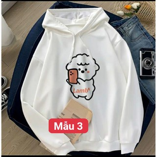 Áo hoodie hoạt hình cute chất nỉ bông dày siêu ấm 59