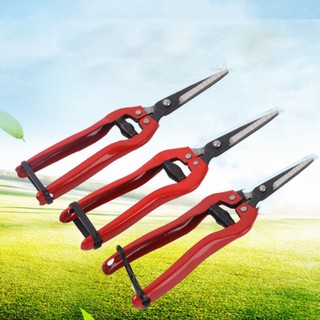 Kéo cắt tỉa cành hoa lá 18,5cm - DEVELOPE 899