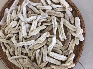 200g hải sâm cát
