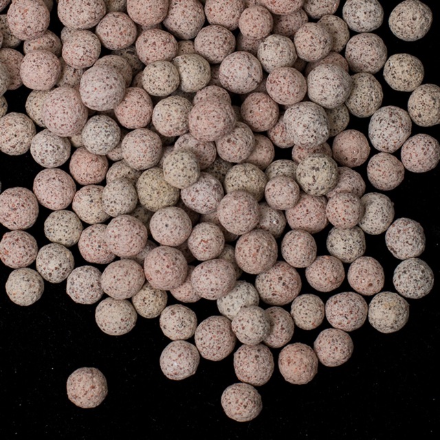 SỨ BI ĐÀI LOAN