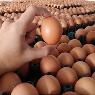 Q8 trứng gà trứng vịt hột vịt lộn giao các quận 1 2 3 4 5 6 7 8 10 11