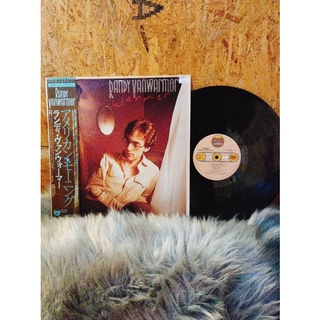 Đĩa than vinyl nhạc Pop
