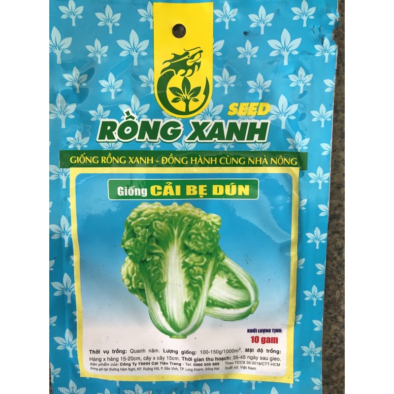 giống rau cải dún