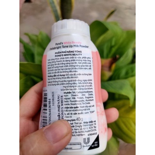 Phấn phủ nâng tông pond's 40g