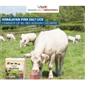 Đá muối liếm QAISAR cho động vật - Tăng đề kháng, bổ sung khoáng chất cho vật nuôi