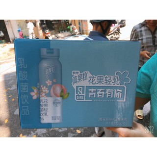 Sẵn - Sữa chua Chân Quả Lạp Tiêu Chiến đại ngôn vị hoa anh đào