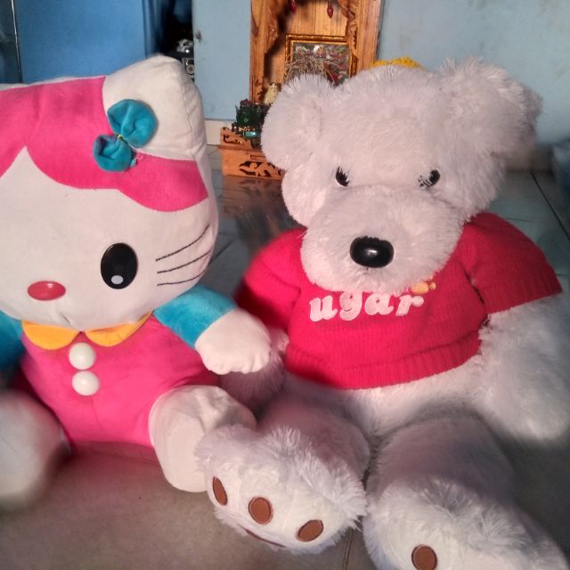 Gấu bông thu Hằng