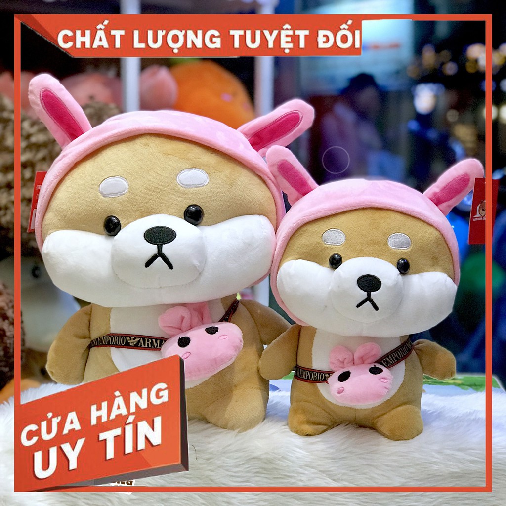 CHÓ BÔNG SHIBA - HÀNG VIỆT NAM