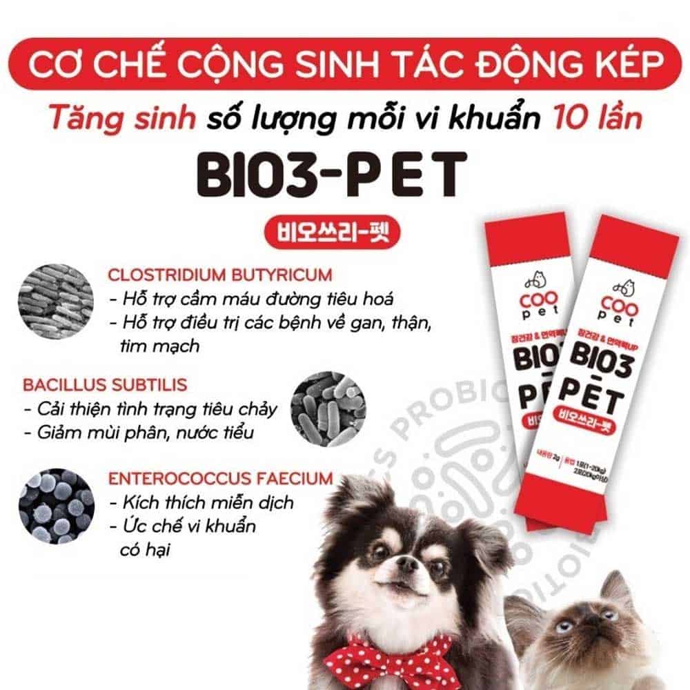 Men VI SINH hỗ trợ tiêu hóa cho thú cưng, chó mèo BIO 3 - CHÍNH HÃNG HÀN QUỐC