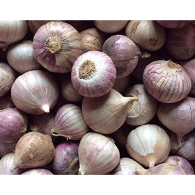 500g Tỏi Cô Đơn Coldcool Mart