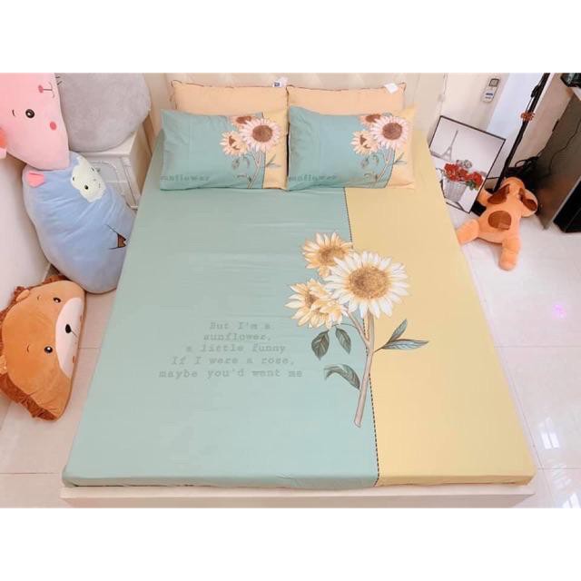 Bộ Ga Gối Cotton TiCi 3D Nhập Khẩu Cao Cấp Set Ga Gối Đủ Size Mềm Mại Không Xù