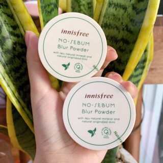 PHẤN PHỦ KIỀM DẦU DÒNG MỚI - INNISFREE NO SEBUM MOISTURE POWDER SALE 50%