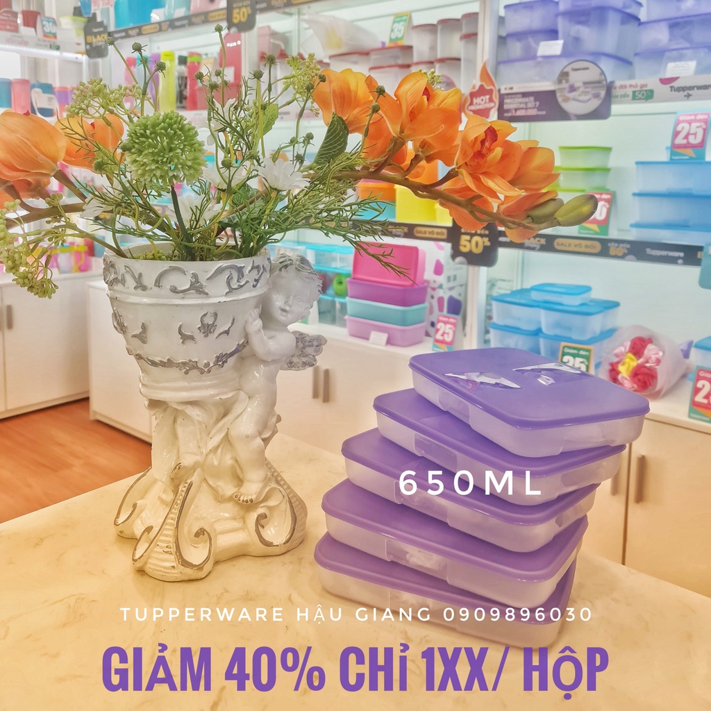 HÀNG CHÍNH HÃNG - Hộp trữ Đông Tupperware SIZE LẺ ĐỦ DUNG TÍCH
