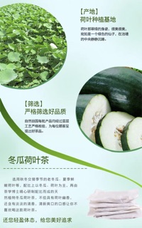 Trà giảm cân bí đao lá sen