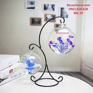 Bể Cá Mini Để Bàn Phong Thủy Hình Chữ X 24 ( Tặng kèm combo 2 phụ kiện trang trí)