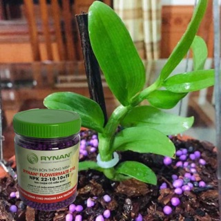 phân bón tan chậm thông minh rynan 150g