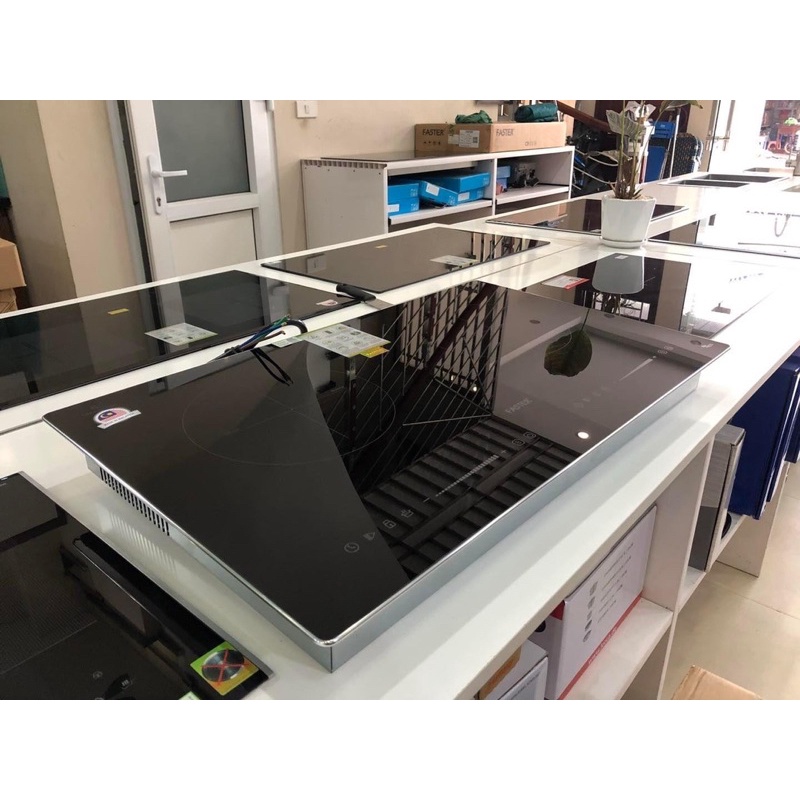 Bếp từ Faster Fs 812GI