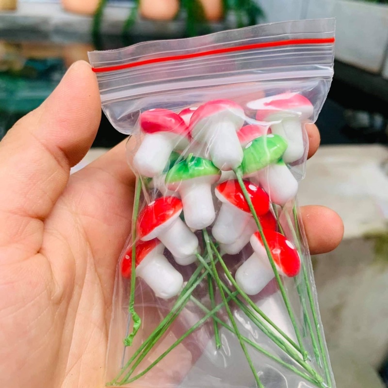 Cây nấm trang trí