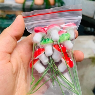 Cây nấm trang trí