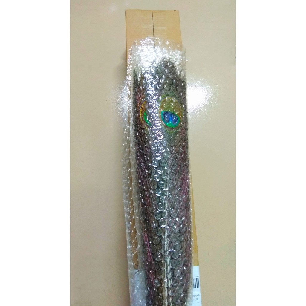 Lông công phong thủy - Lông công trang trí | BigBuy360 - bigbuy360.vn