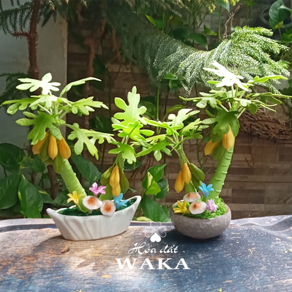Hoa Đất Sét Mini - Cây Đu Đủ