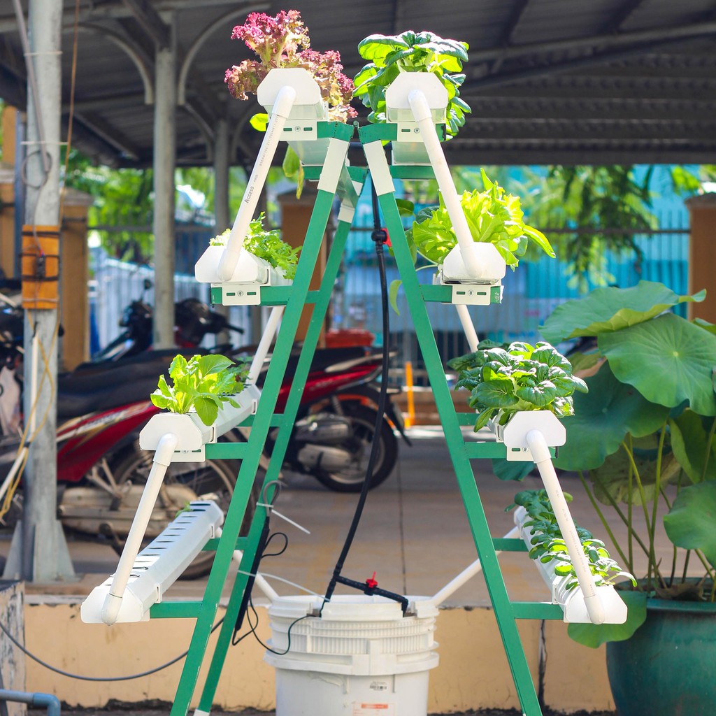 Giàn Trồng Rau Thuỷ Canh Chữ A 4 Tầng 120 lỗ rau