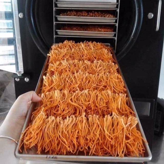 100g ĐÔNG TRÙNG HẠ THẢO KHÔ hàng Việt Nam - Bao kiểm định | BigBuy360 - bigbuy360.vn