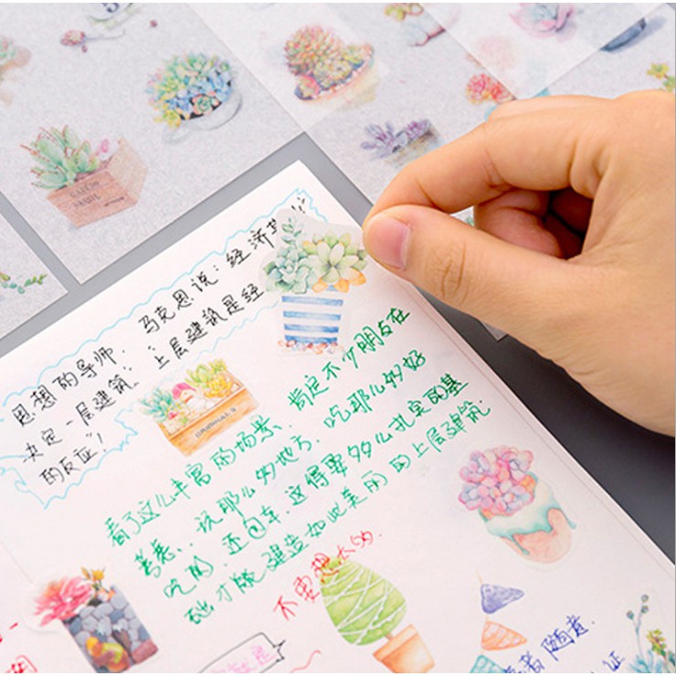 Set 6 tập sticker trang trí cây xương rồng Cantus