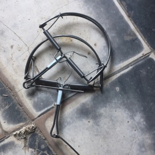 Bẫy chuột bán nguyệt loại to đường kính 15cm