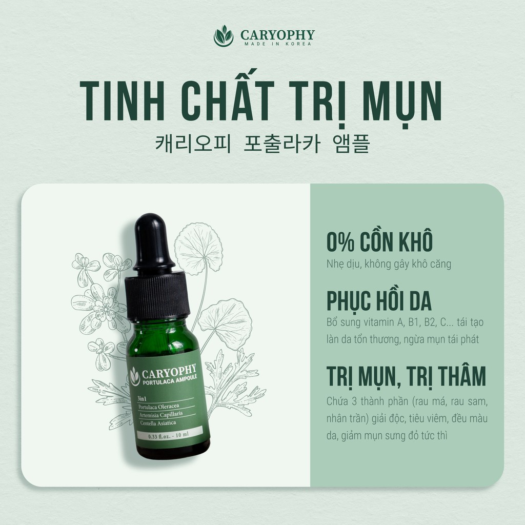 Combo 2 sản phẩm sữa rửa mặt và tinh chất dành cho da mụn chiết xuất từ rau má caryophy portulaca full size