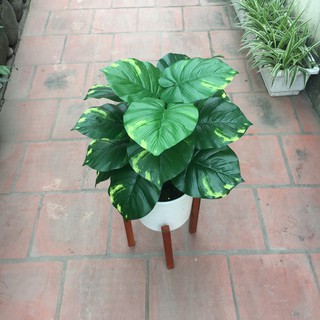 Cây giả- Cây trầu bà giả nhỏ trang trí cao 45cm