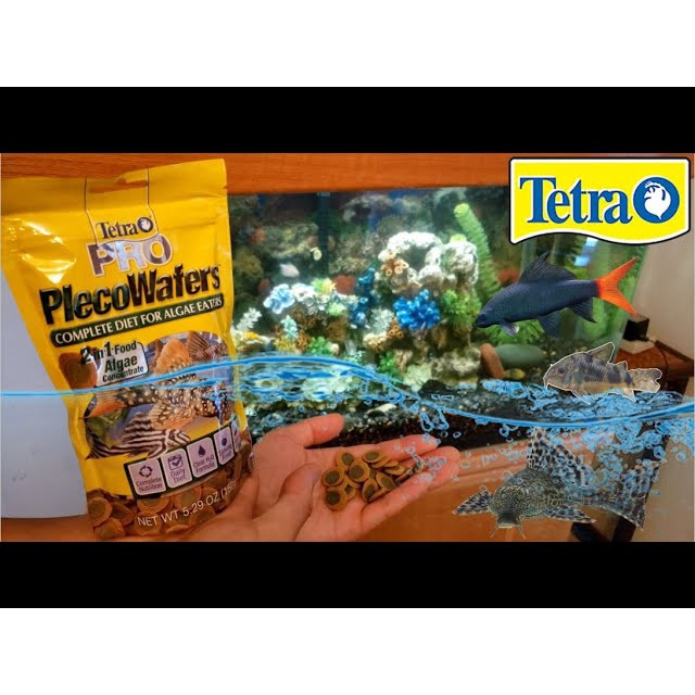 TETRA PRO PLECOWAFERS - Thức Ăn Cho Cá Chuột, Pleco &amp; Các Dòng Cá Tầng Đáy | GÓI 150GRAM