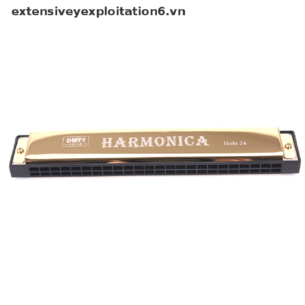 Kèn harmonica tremolo 24 lỗ chuyên dụng chất lượng cao