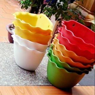 chậu ốp tường sắc màu