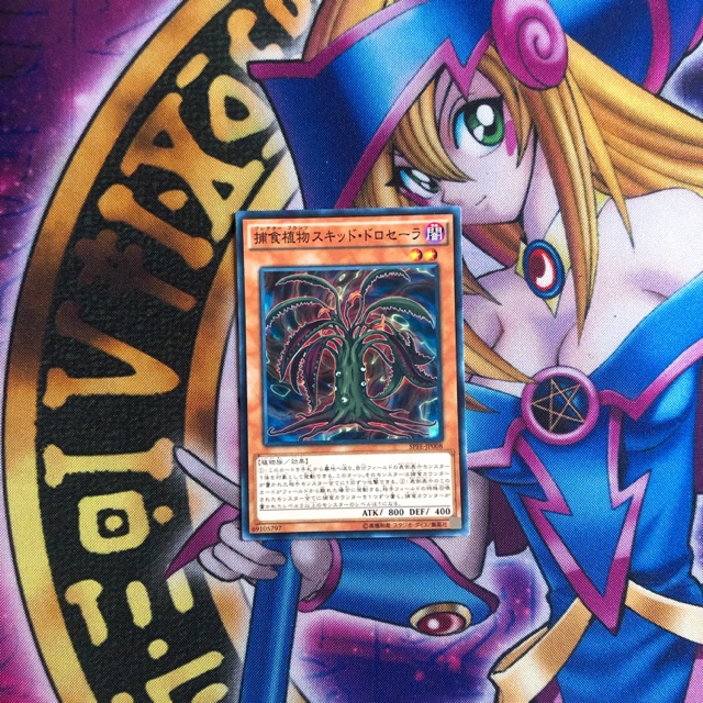 Thẻ bài Yugioh Predaplant Squid Drosera OCG JP SPFE-JP008